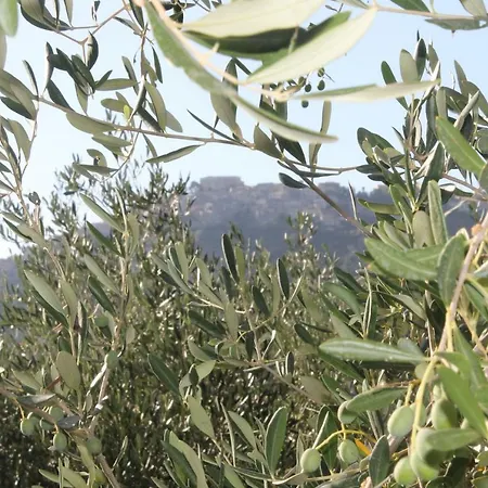 La Dimora Di Eb * Castellabate